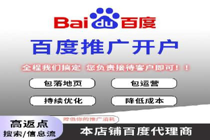 知名SEM公司案例分析：优化策略与成果